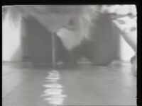 1981_1990\1989.0070b.jpg; 1989.0070; ;